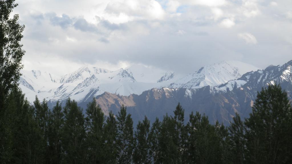 Streamlet Homestay Leh Exterior foto
